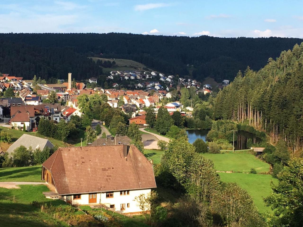 Gasthof Schwarzwaldgasthaus Linde Schramberg