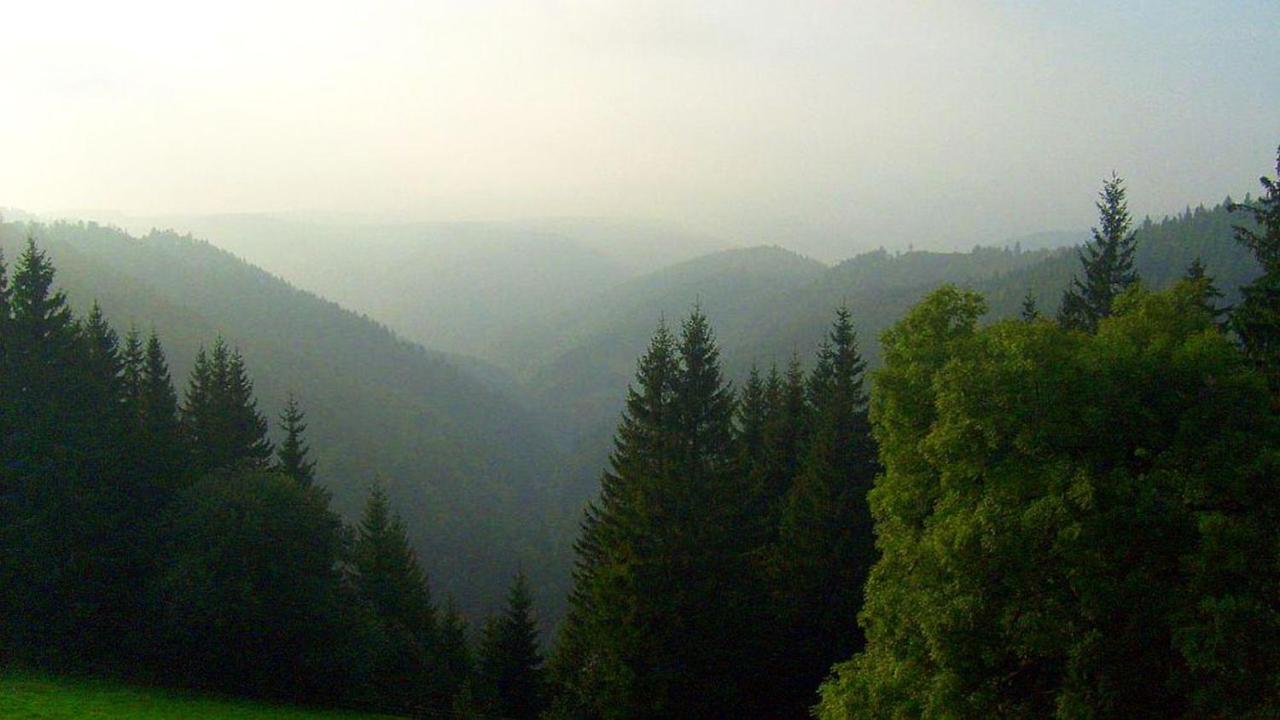 Gasthof Schwarzwaldgasthaus Linde 3*